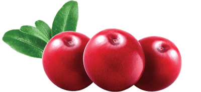 Cranberry