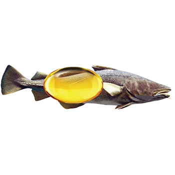 Cod Liver Oil