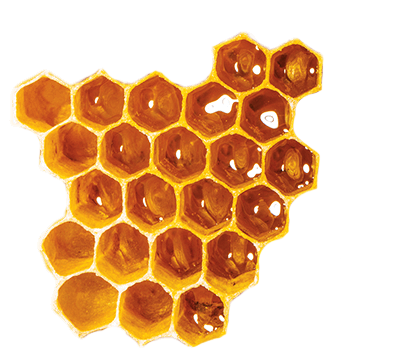 Royal Jelly